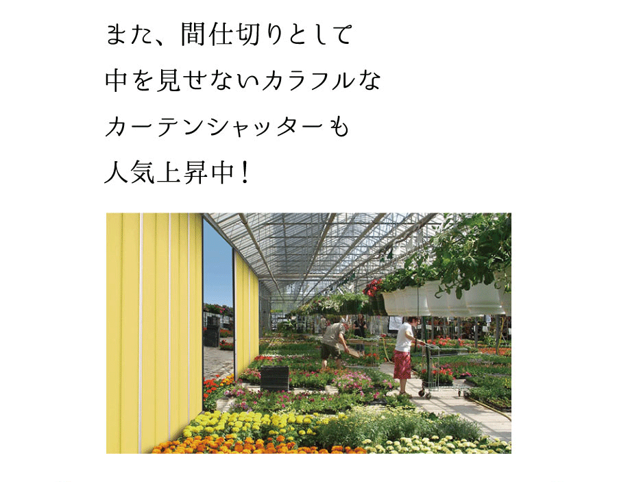 また、間仕切りとして中を見せないカラフルなカーテンシャッターも人気上昇中！