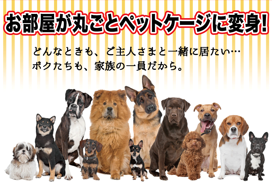 お部屋が丸ごとペットケージに変身！どんなときも、ご主人様と一緒に居たい…ボクたちも、家族の一員だから。